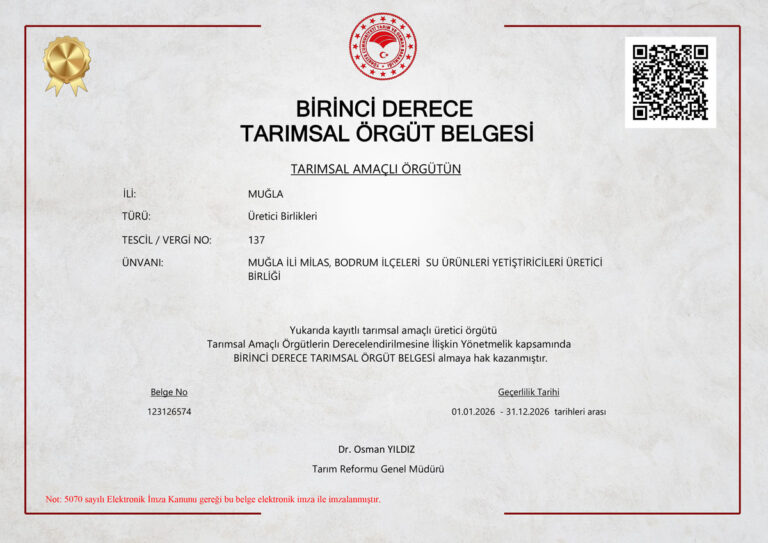 Birinci-Derece-Örgüt-Belgesi
