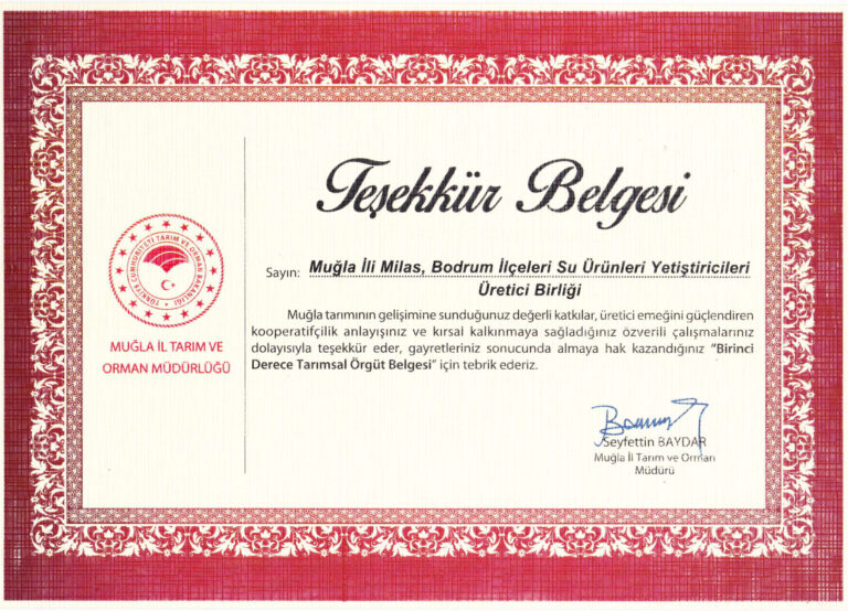 Birinci-Derece-Örgüt-Belgesi_